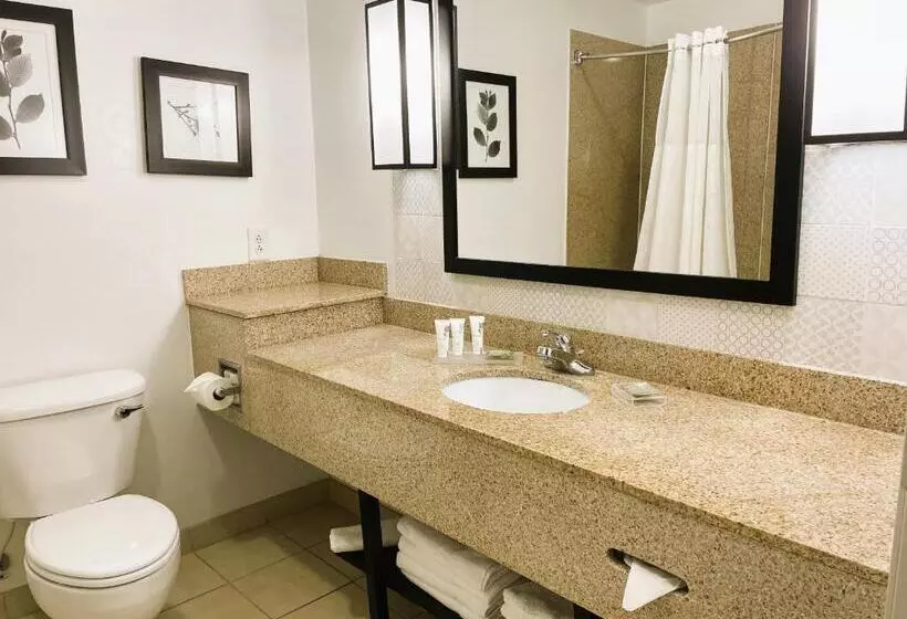 キングサイズベッドのスタンダードルーム, Country Inn & Suites By Radisson, Albany, Ga