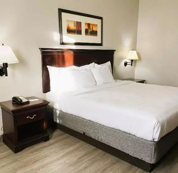 キングサイズベッドのスタンダードルーム, Country Inn & Suites By Radisson, Albany, Ga