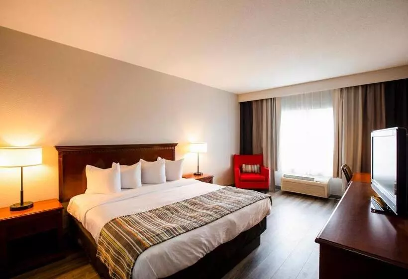 キングサイズベッドのスタンダードルーム, Country Inn & Suites By Radisson, Wilson, Nc