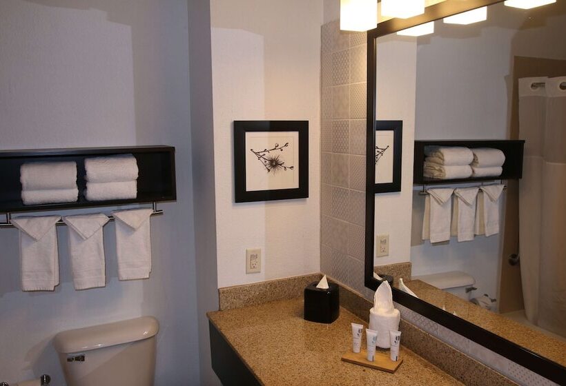 Люкс Адаптированный для Инвалидов, Country Inn & Suites By Radisson, Wilson, Nc