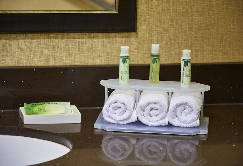 Номер Стандарт, Holiday Inn Express And Suites Timmins, An Ihg