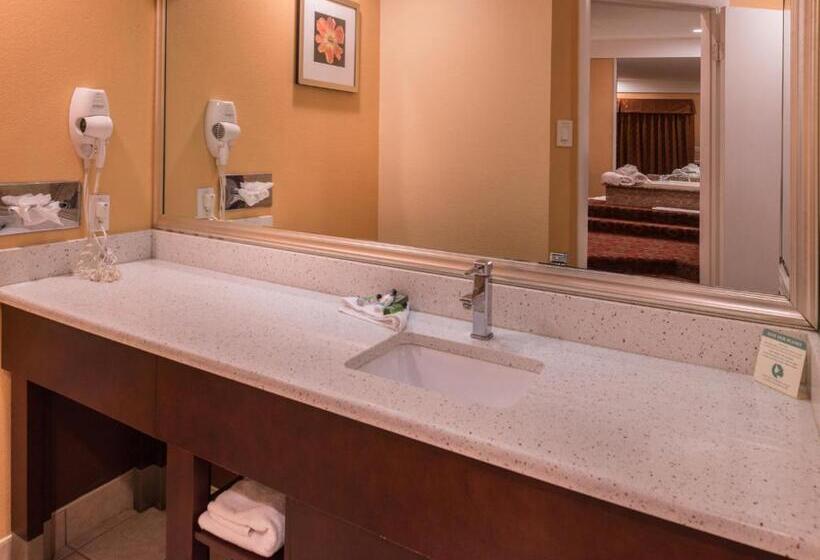 Люкс Deluxe Кровать Кинг, Inn Of The Dove Romantic Luxury & Business Suites