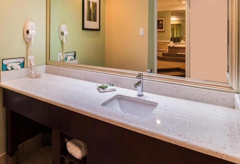 جناح ديلوكس سرير كينج, Inn Of The Dove Romantic Luxury & Business Suites