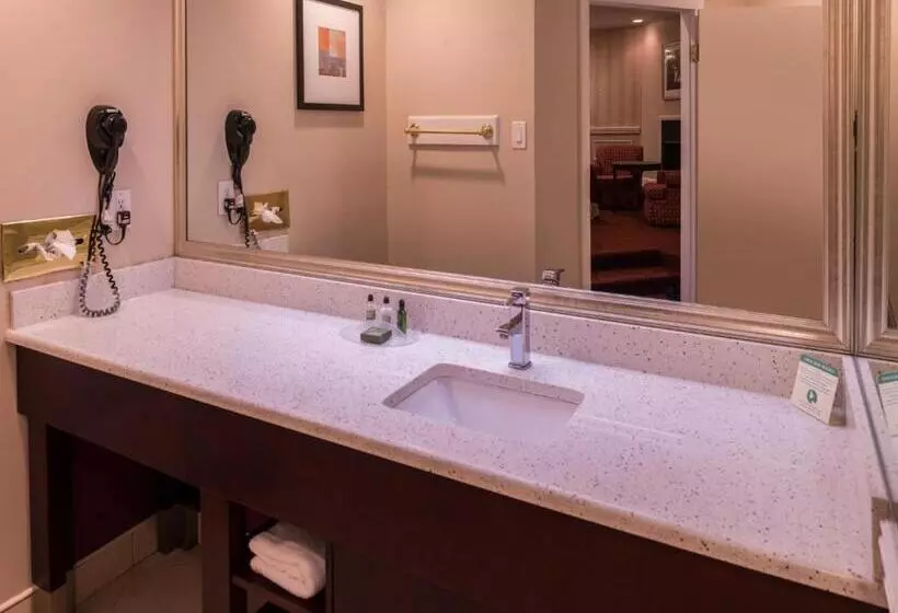 キングサイズベッドのスイートルーム, Inn Of The Dove Romantic Luxury & Business Suites