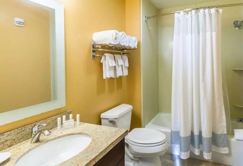 ２ベッドスイートルーム, Towneplace Suites Dayton North