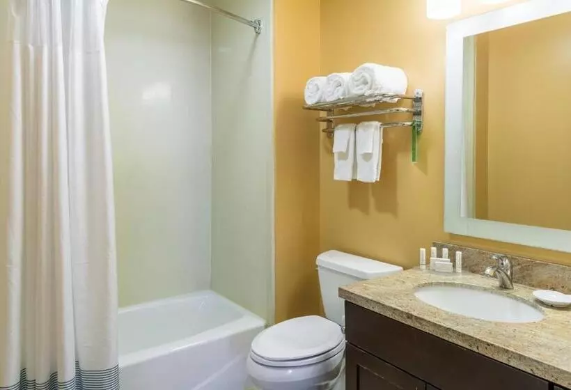 スイート, Towneplace Suites Dayton North