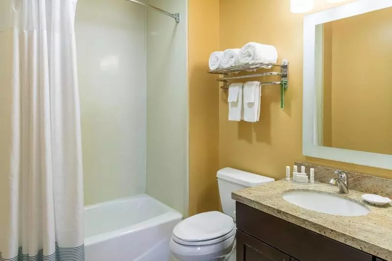 キングサイドベッドのスタンダードワンルーム, Towneplace Suites Dayton North