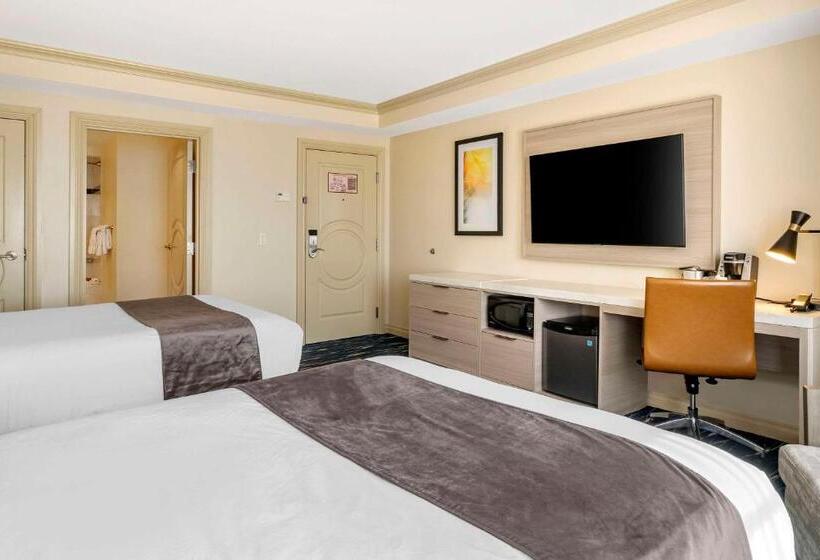 غرفه قياسيه سريرين مزدوجين, Wyvern Hotel, Ascend Hotel Collection