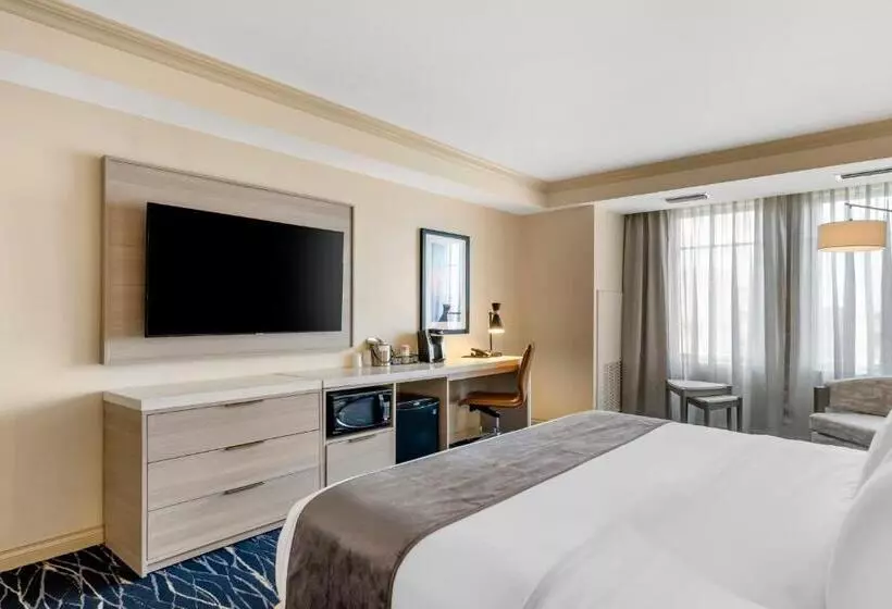 身障者適用キングサイズベッドルーム, Wyvern Hotel, Ascend Hotel Collection