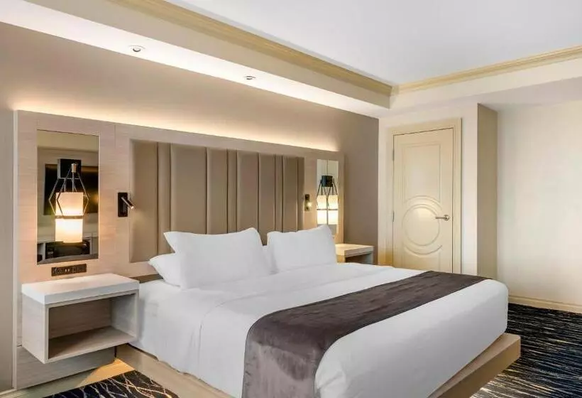 身障者適用キングサイズベッドルーム, Wyvern Hotel, Ascend Hotel Collection
