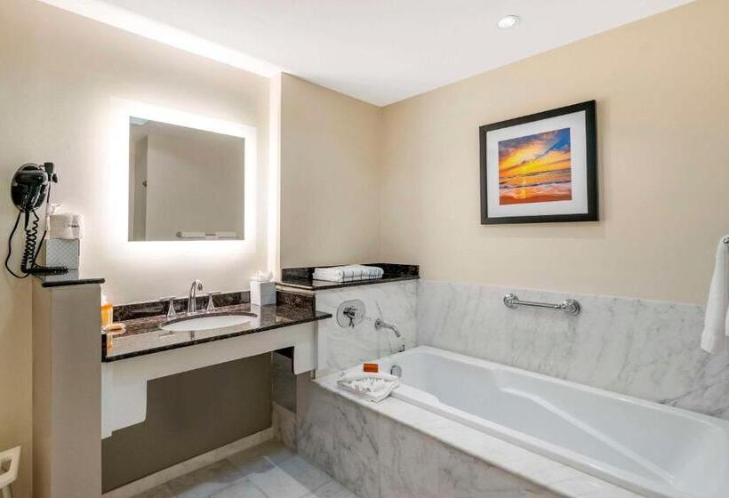 غرفة قياسية لذوى الاحتياجات الخاصة, Wyvern Hotel, Ascend Hotel Collection