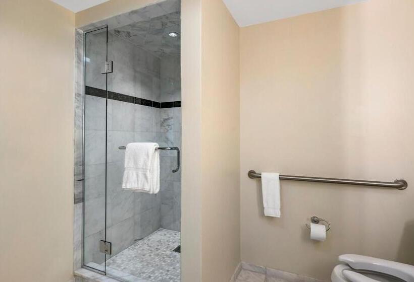 غرفة قياسية لذوى الاحتياجات الخاصة, Wyvern Hotel, Ascend Hotel Collection