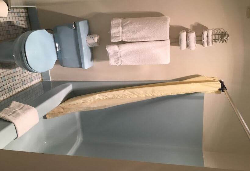 اتاق استاندارد با 2 تخت دوبل, The Springwater Inn