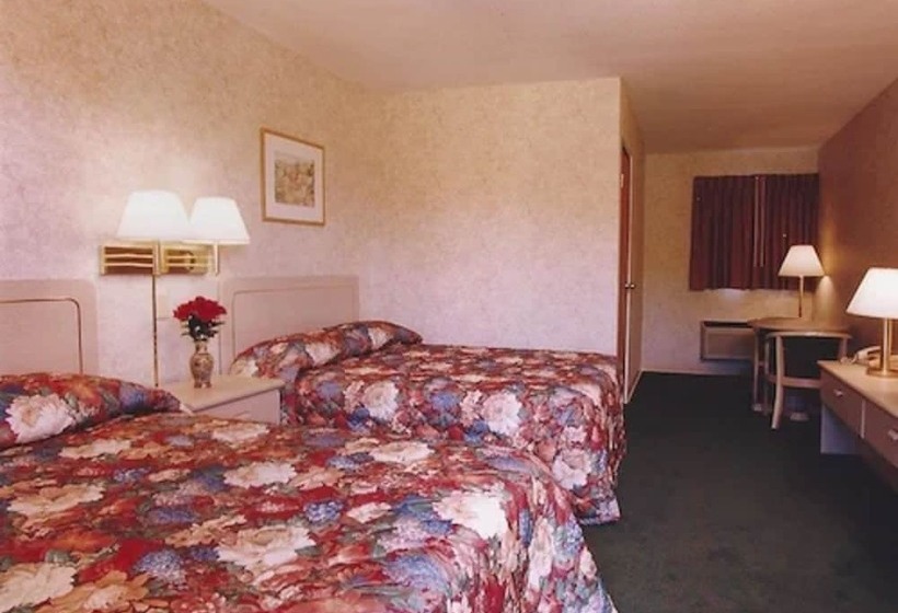 带2个双人床的标准工作室, The Springwater Inn