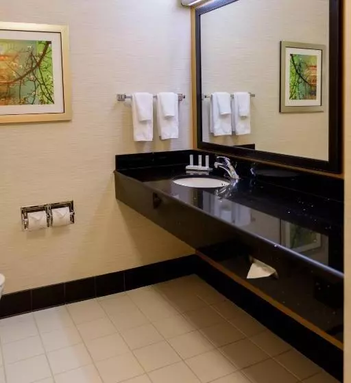 キングサイドベッドのスタンダードワンルーム, Fairfield Inn & Suites Kennett Square