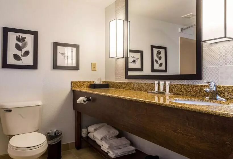 スイート, Country Inn & Suites By Radisson, Doswell Kings Dominion , Va