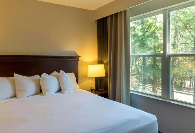 スイート, Country Inn & Suites By Radisson, Doswell Kings Dominion , Va