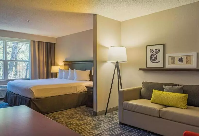 キングサイドベッドのスタンダードワンルーム, Country Inn & Suites By Radisson, Doswell Kings Dominion , Va