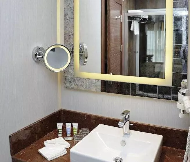 Standard Room, Mercure Istanbul Altunizade