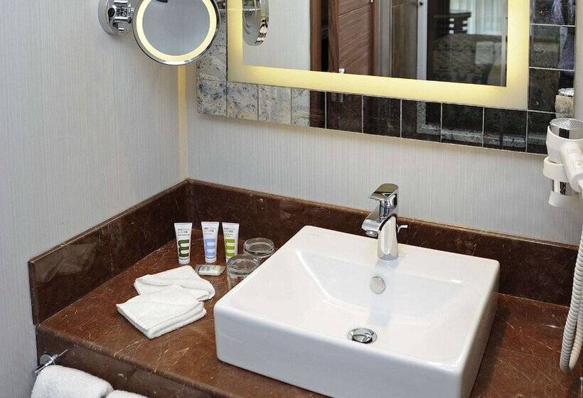 Standard Room Double Bed, Mercure Istanbul Altunizade