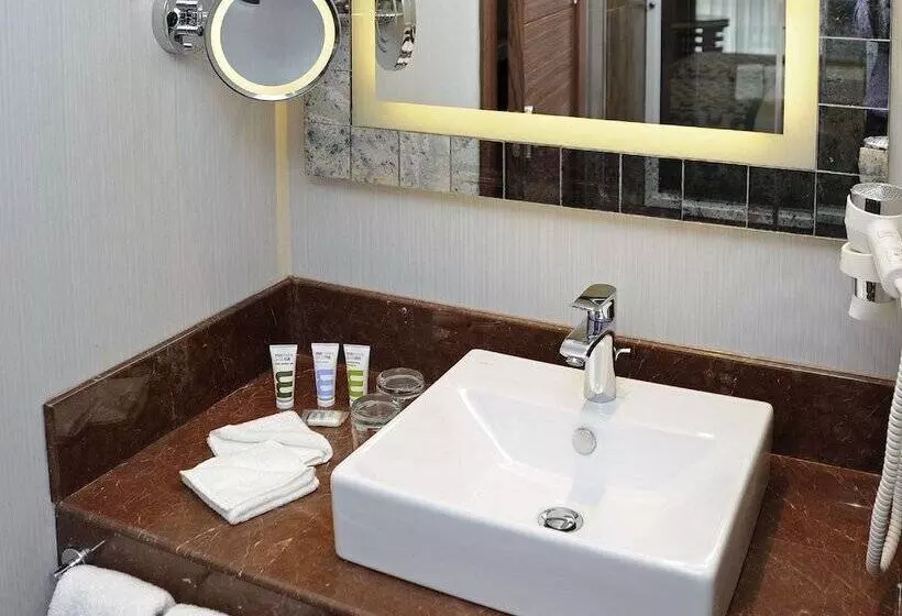 Standard Room Double Bed, Mercure Istanbul Altunizade