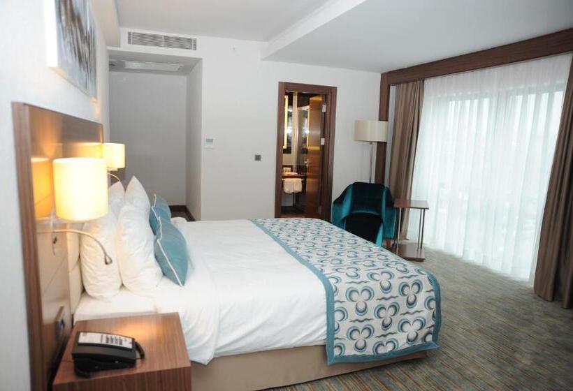 Standard Room Double Bed, Mercure Istanbul Altunizade