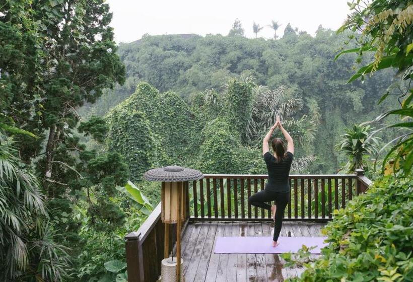 סוויטת דופלקס, Novus Giri Resort & Spa