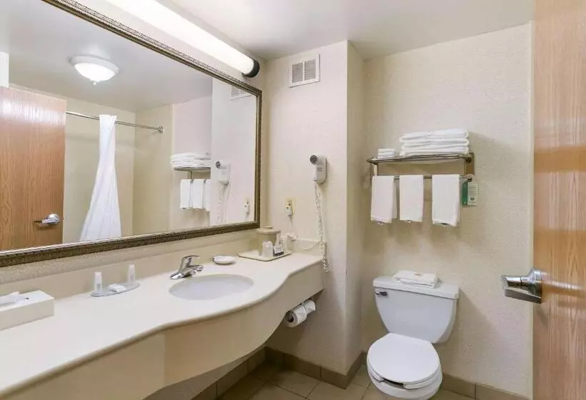 キングサイズベッドのスタンダードルーム, Quality Inn & Suites Bel Air I 95 Exit 77a