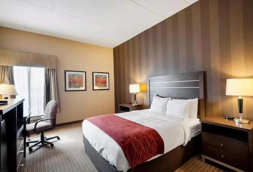 キングサイズベッドのスイートルーム, Quality Inn & Suites Bel Air I 95 Exit 77a