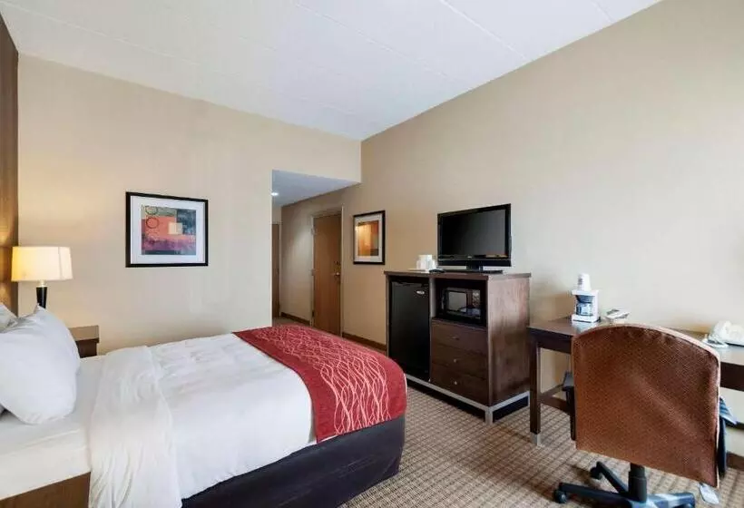 キングサイズベッドのスイートルーム, Quality Inn & Suites Bel Air I 95 Exit 77a