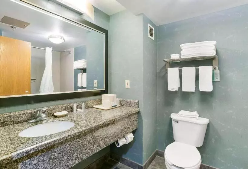 キングサイズベッドのスイートルーム, Quality Inn & Suites Bel Air I 95 Exit 77a