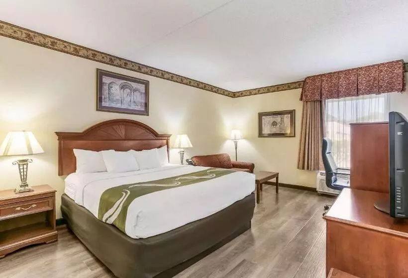 身障者適用キングサイズベッドルーム, Quality Inn & Suites Bel Air I 95 Exit 77a