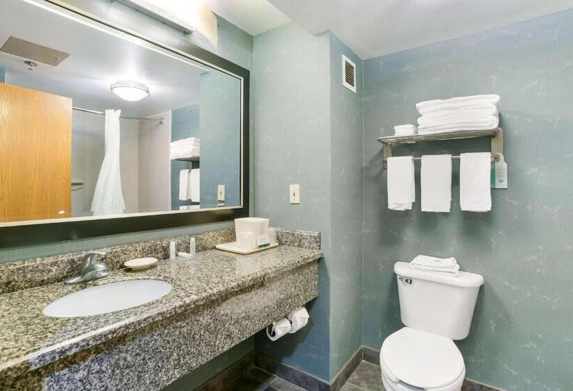 带按摩浴盆的套房, Quality Inn & Suites Bel Air I 95 Exit 77a