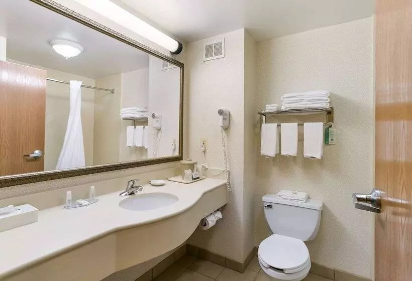 ハイドロマッサージバス付きスイート, Quality Inn & Suites Bel Air I 95 Exit 77a