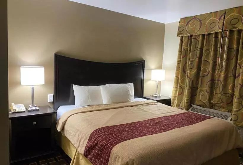 キングサイズベッドのスタンダードルーム, Executive Inn Chillicothe