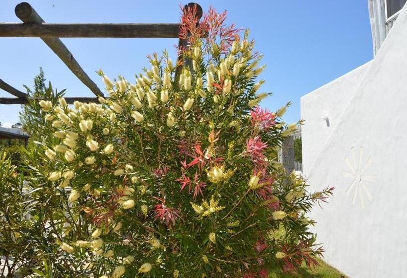 חדר סופריור, Kalá Hotel Boutique