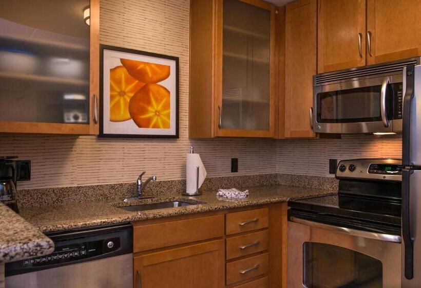 带大床的套房, Residence Inn Gainesville I 75
