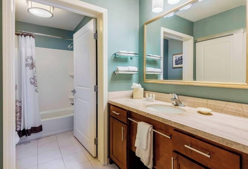 套房, Residence Inn Savannah Downtown Historic District