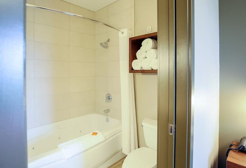 جناح مزوَّد بشرفة, Great Wolf Lodge Chicago/gurnee