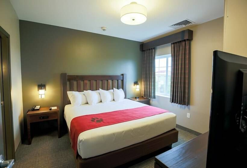 جناح مزوَّد بشرفة, Great Wolf Lodge Chicago/gurnee