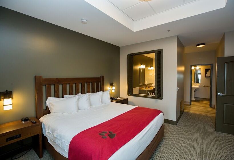 جناح مزوَّد بشرفة, Great Wolf Lodge Chicago/gurnee