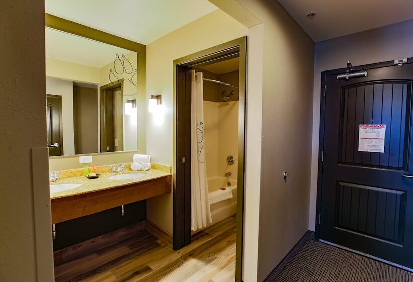 جناح ديلوكس, Great Wolf Lodge Chicago/gurnee