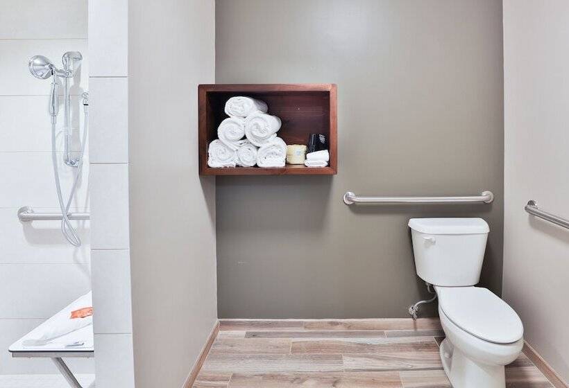 جناح ديلوكس, Great Wolf Lodge Chicago/gurnee