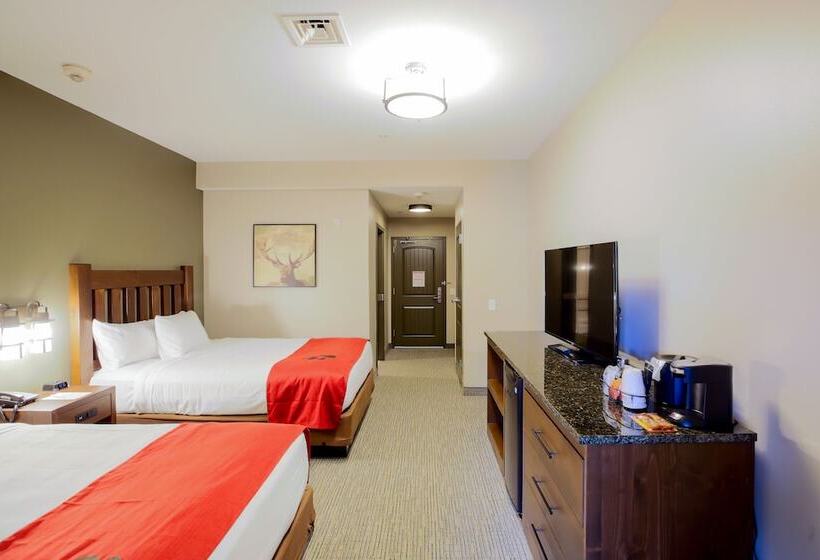 جناح ديلوكس, Great Wolf Lodge Chicago/gurnee