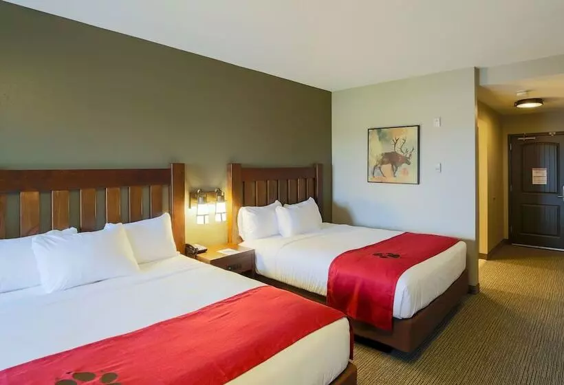 スイート（家族用）, Great Wolf Lodge Chicago/gurnee