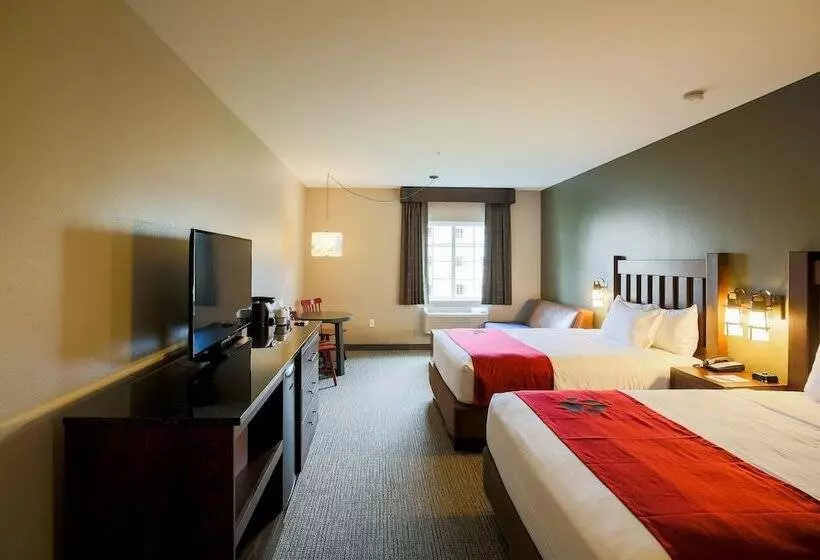スイート（家族用）, Great Wolf Lodge Chicago/gurnee