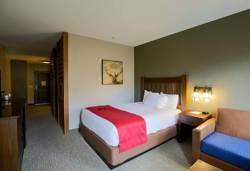 バルコニー付きジュニアスイート, Great Wolf Lodge Chicago/gurnee