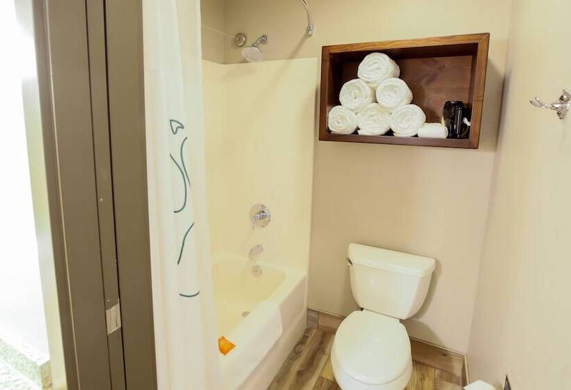 جناح جونيور, Great Wolf Lodge Chicago/gurnee