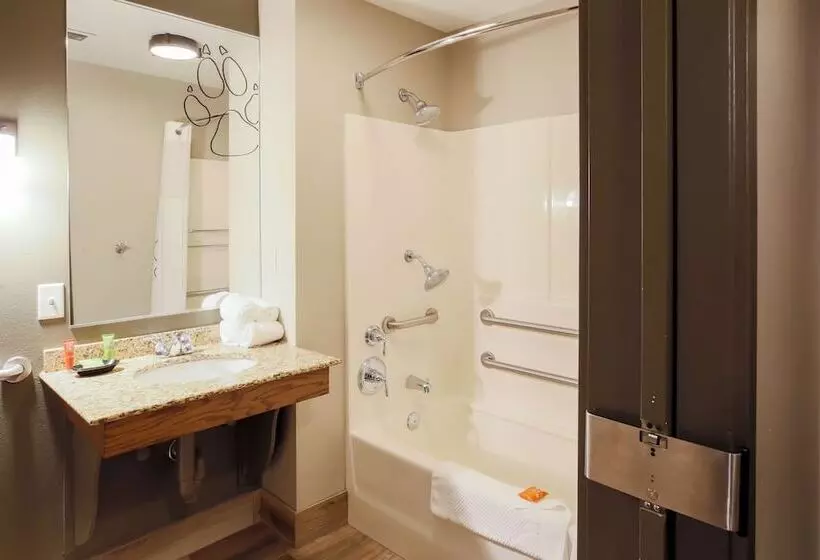 スイート, Great Wolf Lodge Chicago/gurnee