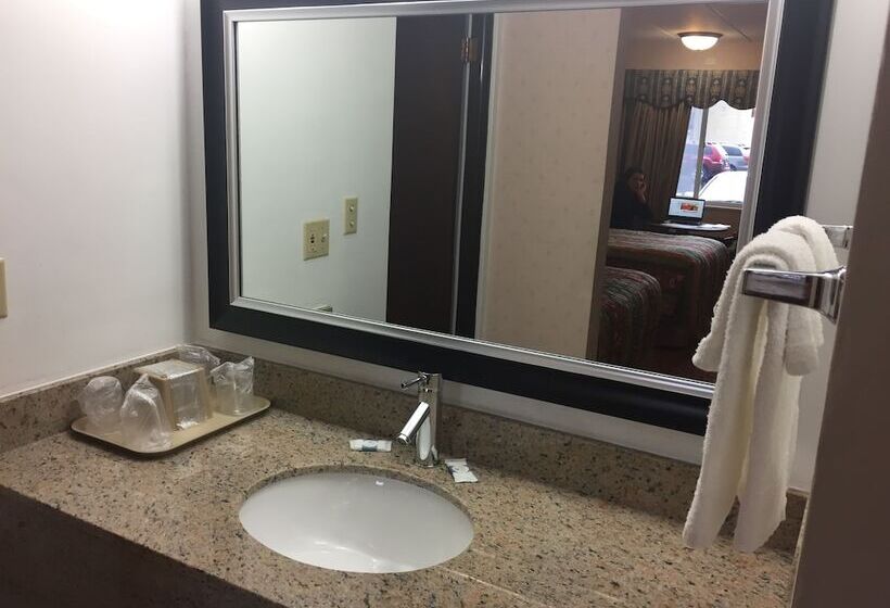 غرفه قياسيه سريرين مزدوجين, Stardust Motel